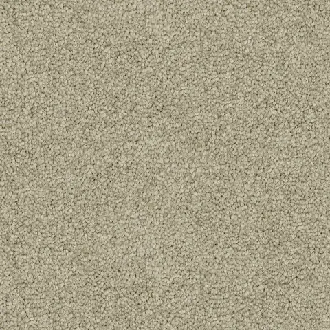 Westminster carpet swatch